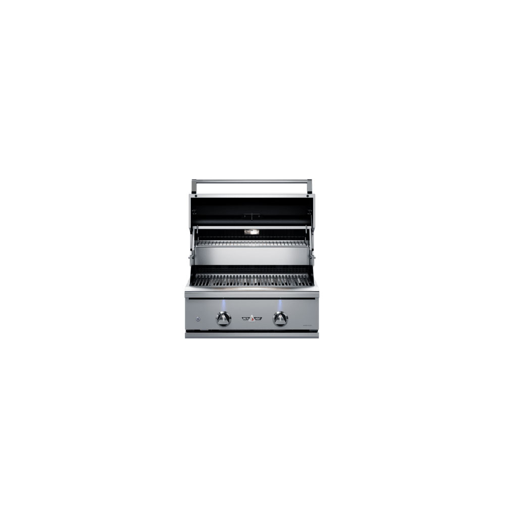 Delta Heat 26" 2-Burner Built-In Gas Outdoor Grill