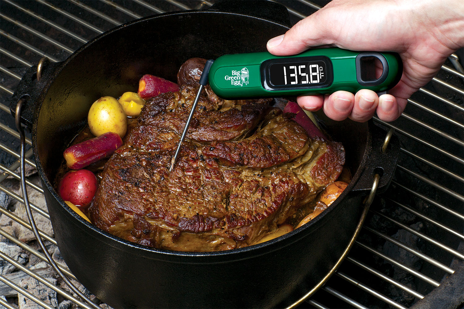 Thermometer in Roast