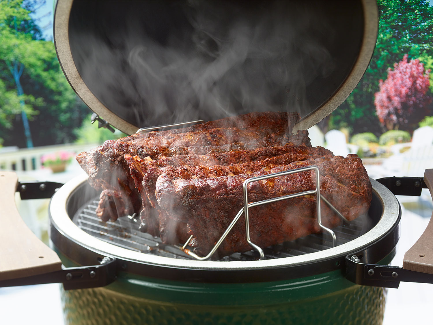 Ribs on Rack in EGG